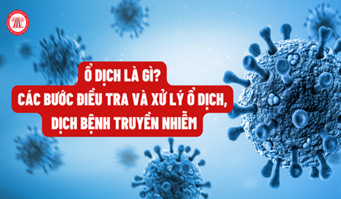 Ổ dịch là gì? Các bước điều tra và xử lý ổ dịch, dịch bệnh truyền nhiễm Ổ Dịch Là Gì? Các Bước Điều Tra Và Xử Lý Ổ Dịch, Dịch Bệnh Truyền Nhiễm