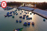 Hoàn chỉnh hệ thống cảng cá và khu neo đậu tránh trú bão cho tàu cá vào năm 2030