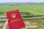 Năm 2025, chuyển đổi quyền sử dụng đất nông nghiệp với cá nhân ở tỉnh khác được không?