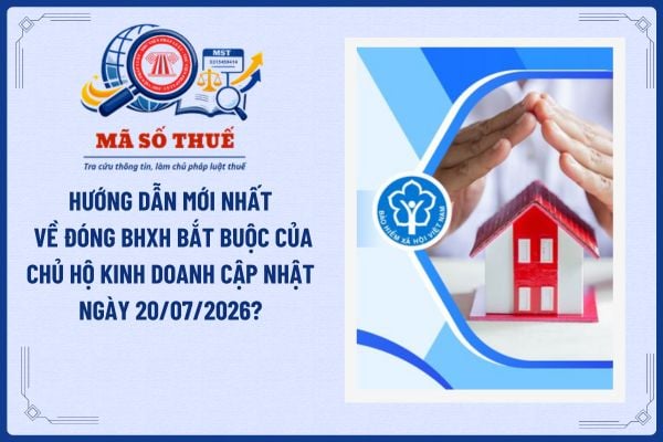 Pháp luật