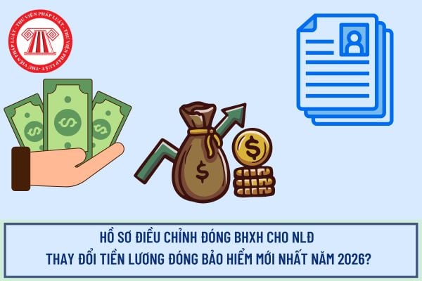 Pháp luật