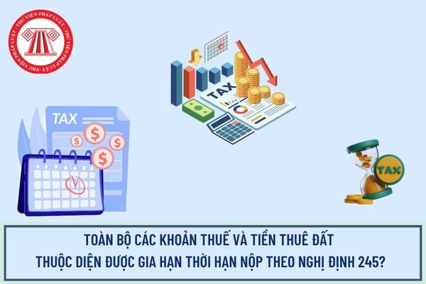 Pháp luật