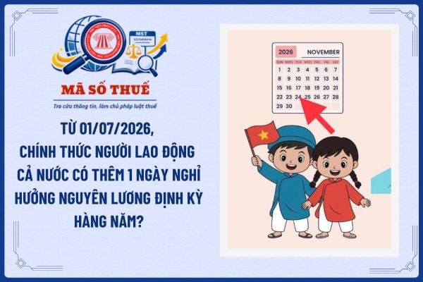 Pháp luật