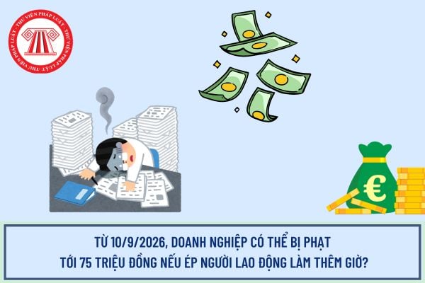 Pháp luật