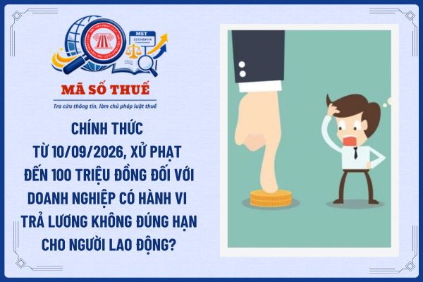 Pháp luật