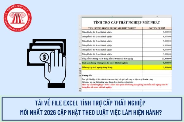 Pháp luật