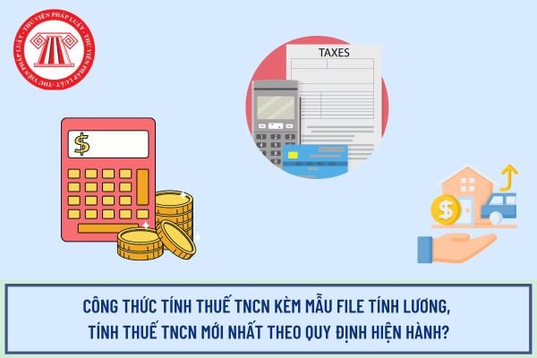 Pháp luật