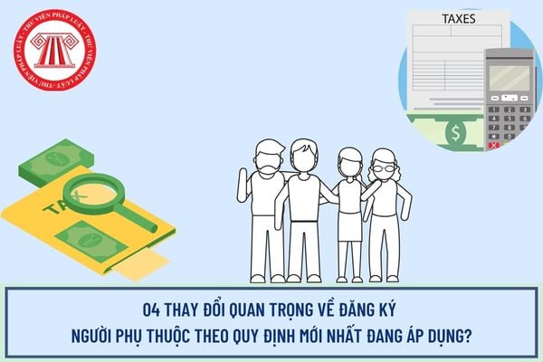 Pháp luật