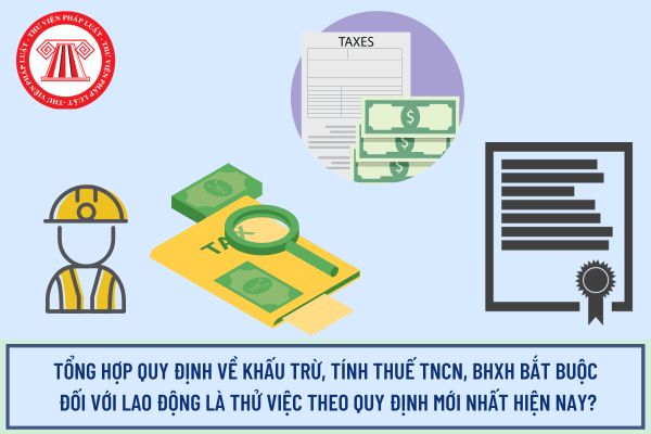 Pháp luật