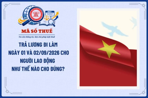Pháp luật