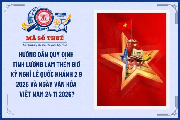 Pháp luật