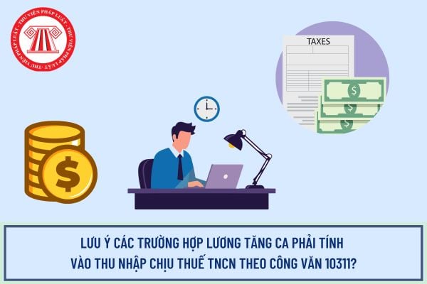 Pháp luật