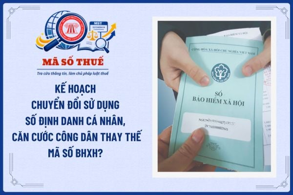 Pháp luật