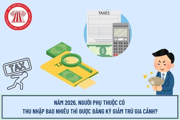 Pháp luật
