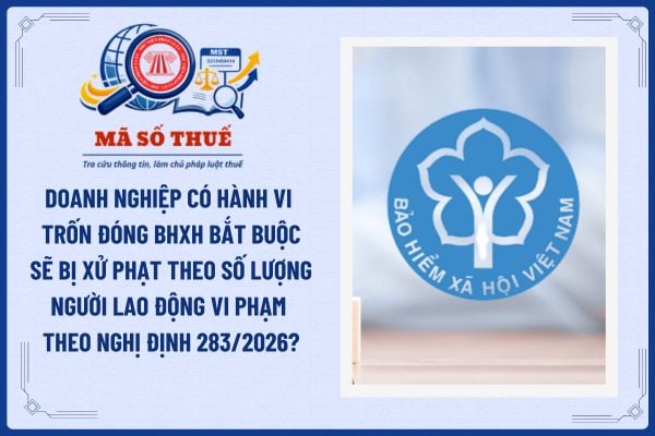 Pháp luật
