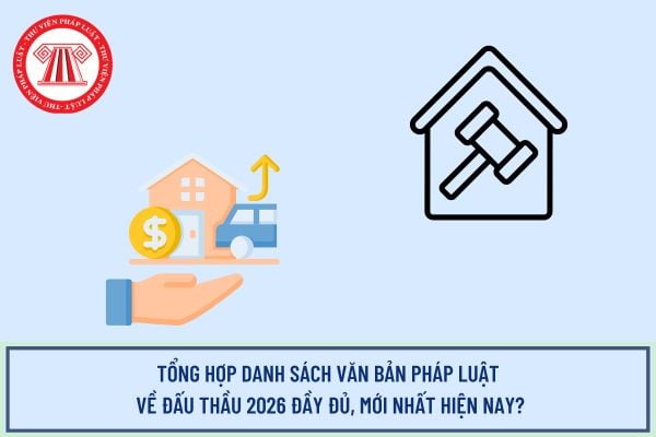 Pháp luật