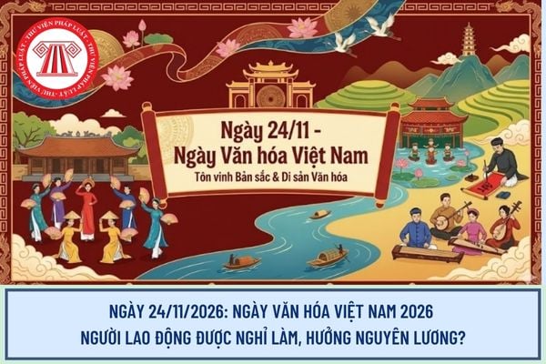 Pháp luật