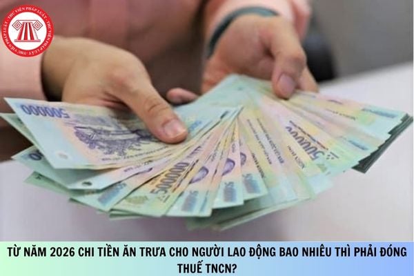 Pháp luật