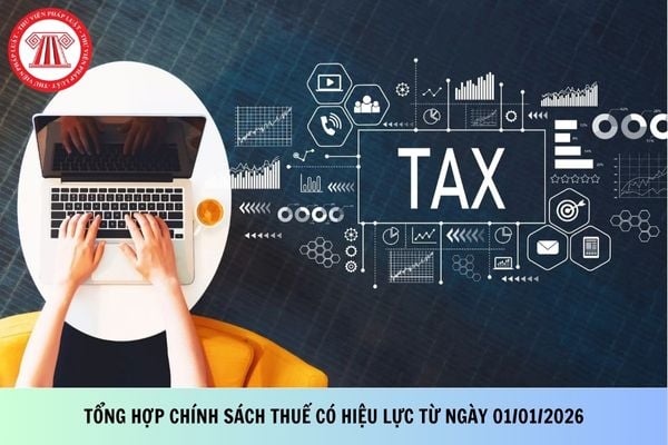 Tổng hợp những chính sách thuế có hiệu lực từ ngày 01/01/2026?