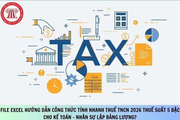 Pháp luật