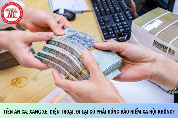 Pháp luật