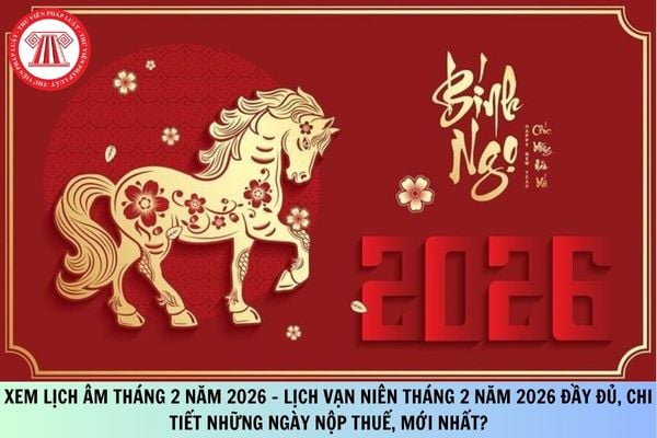 Pháp luật