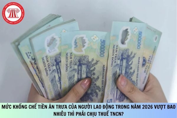 Pháp luật
