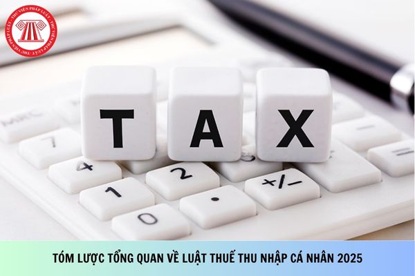 Pháp luật