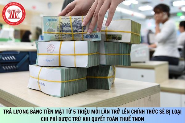 Trả lương bằng tiền mặt từ 5 triệu mỗi lần trở lên chính thức sẽ bị loại chi phí được trừ khi quyết toán thuế TNDN từ năm 2026?