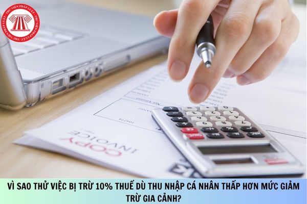 Pháp luật