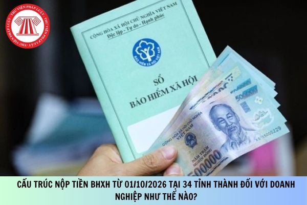 Pháp luật