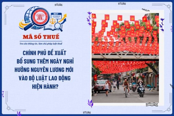 Pháp luật