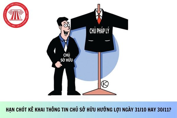 Pháp luật