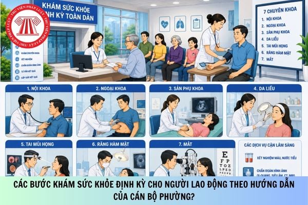 Pháp luật