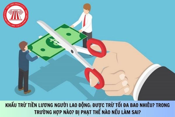 Pháp luật