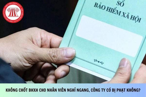 Pháp luật