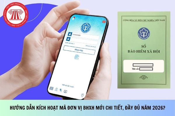 Pháp luật