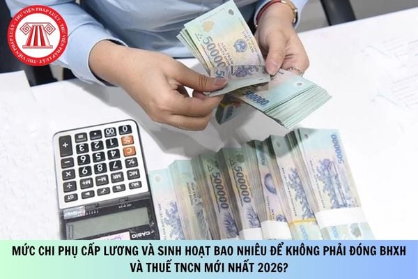 Pháp luật