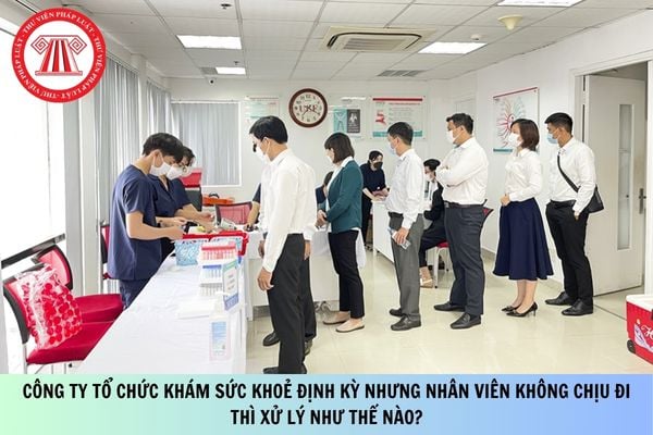 Pháp luật