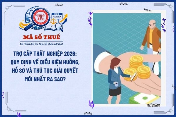 Pháp luật