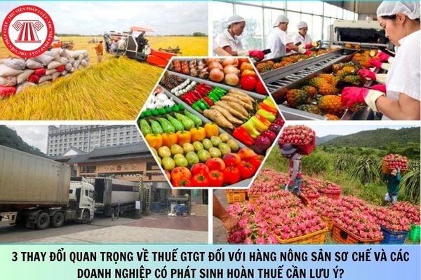 3 thay đổi quan trọng về thuế GTGT đối với hàng nông sản sơ chế và các doanh nghiệp có phát sinh hoàn thuế cần lưu ý?