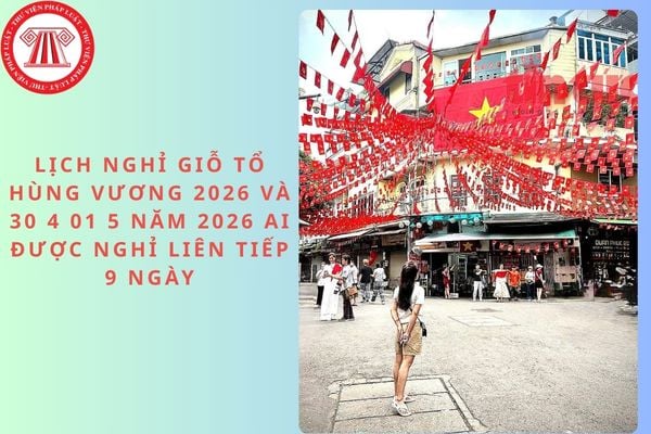 Pháp luật