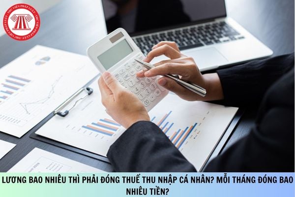 Pháp luật