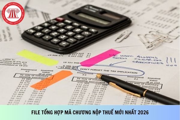 Pháp luật