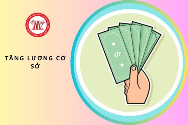 Pháp luật