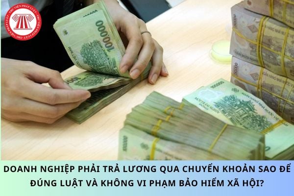 Pháp luật