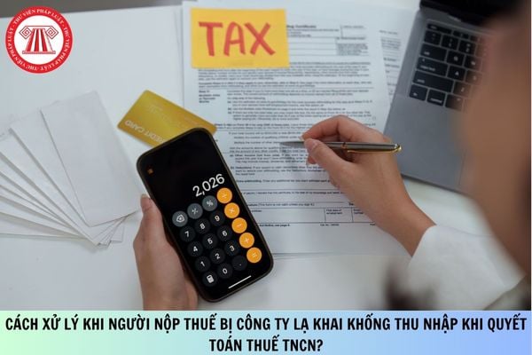 Pháp luật