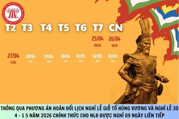 Pháp luật