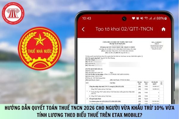 Pháp luật