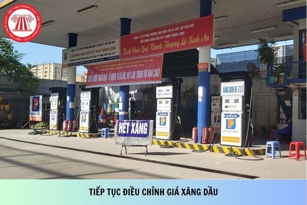 Pháp luật